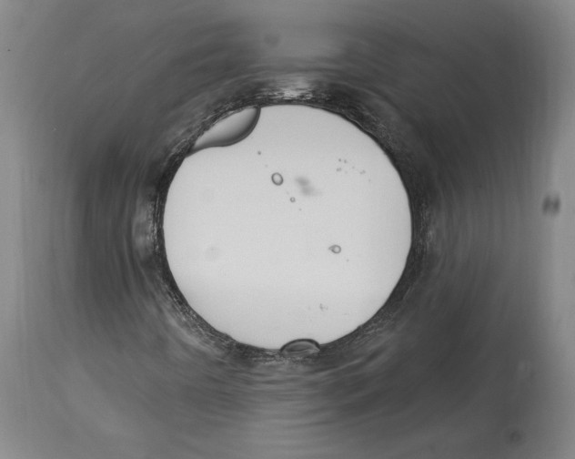 X0000114611442200911171024