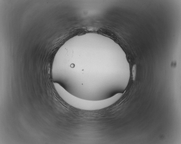 X0000114611443200911171024