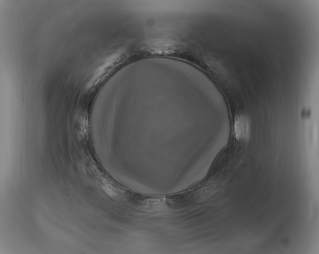 X0000114611444200911171024