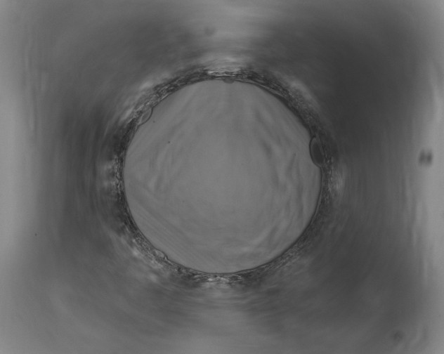 X0000114611445200911171024