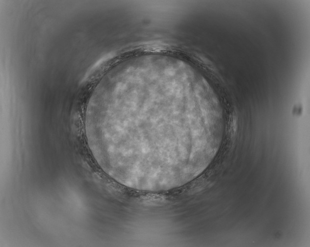 X0000114611446200911171024