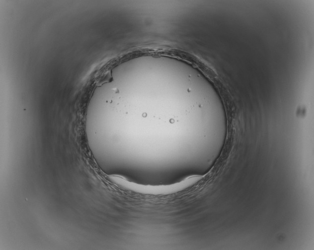 X0000114611447200911171024