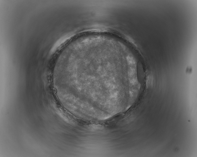 X0000114611448200911171024