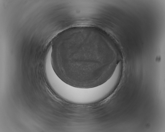 X0000114611449200911171024