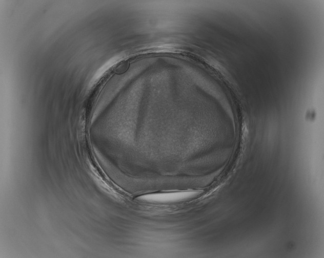 X0000114611450200911171024