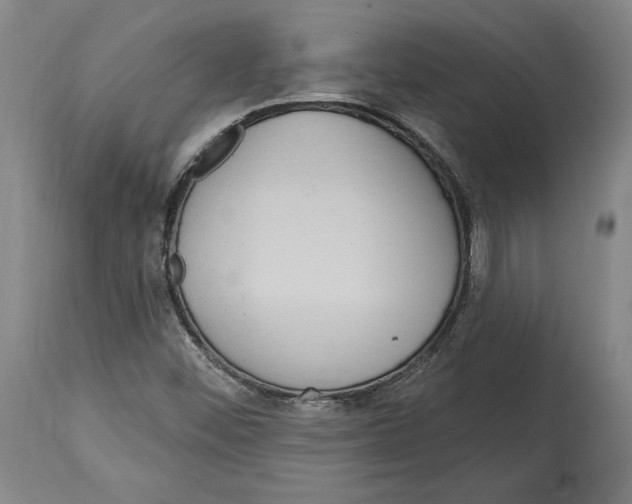 X0000114611452200911171024