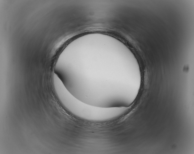 X0000114611453200911171024