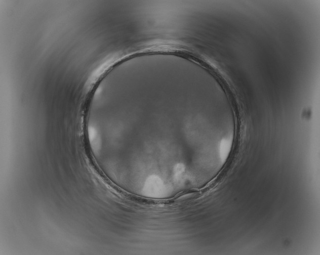 X0000114611459200911171024