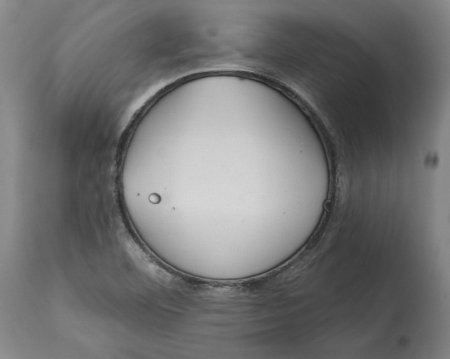 X0000114611460200911171024