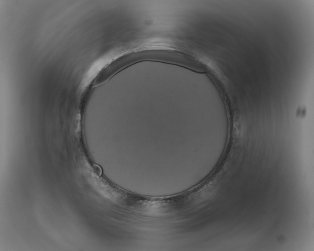 X0000114611461200911171024