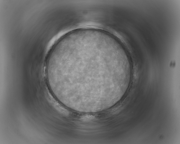 X0000114611462200911171024