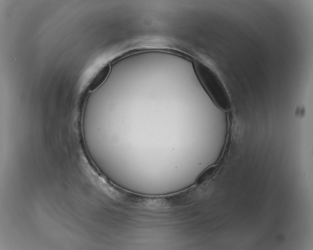 X0000114611464200911171024