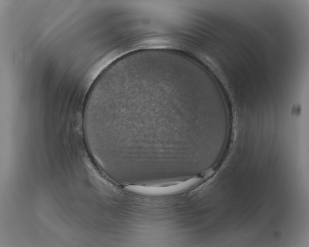 X0000114611465200911171024