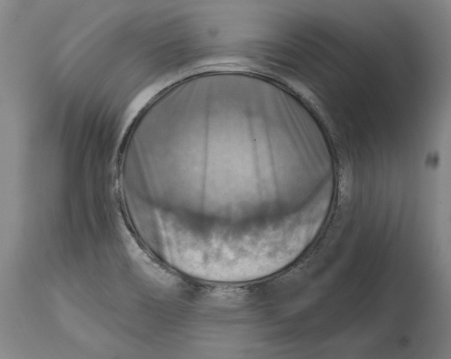 X0000114611466200911171024