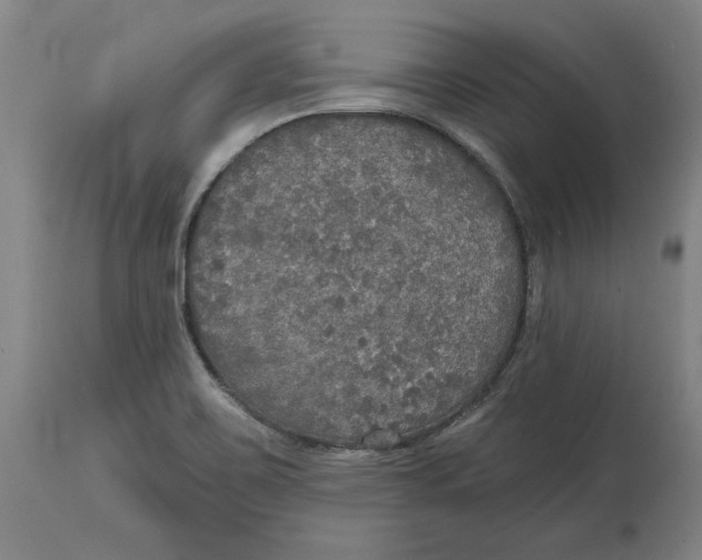 X0000114611467200911171024