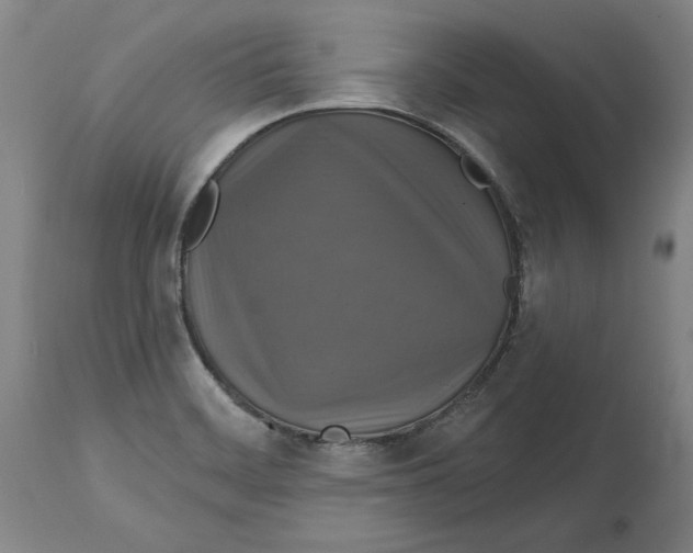 X0000114611468200911171024