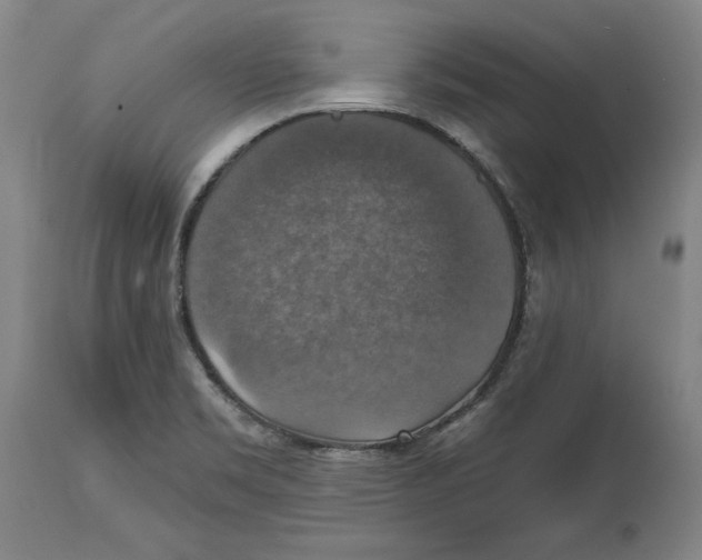 X0000114611469200911171024