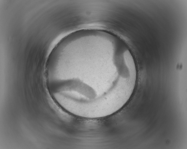 X0000114611470200911171024