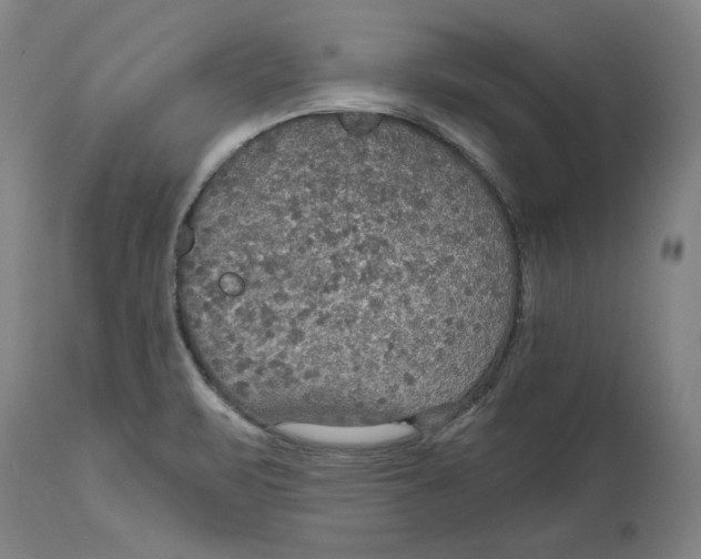 X0000114611471200911171024