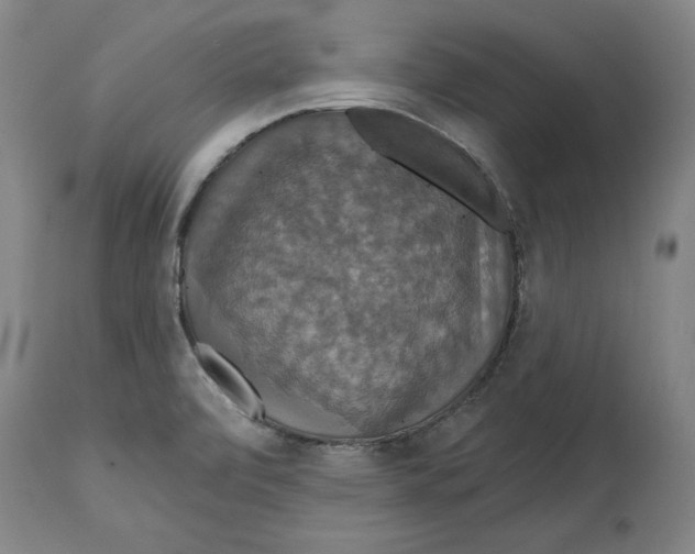 X0000114611472200911171024