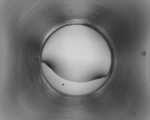 X0000114611473200911171024