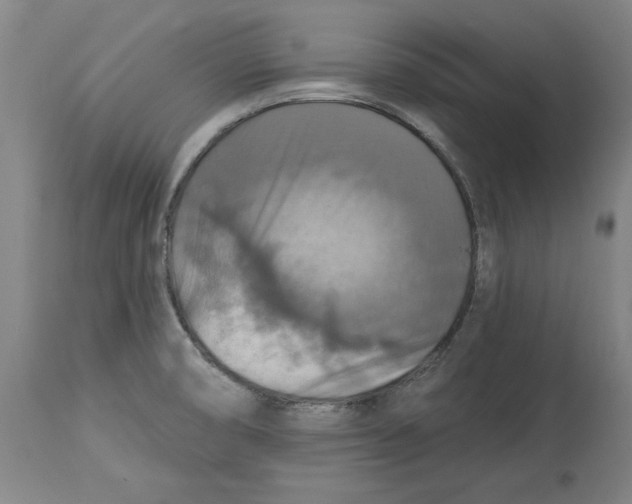 X0000114611474200911171024