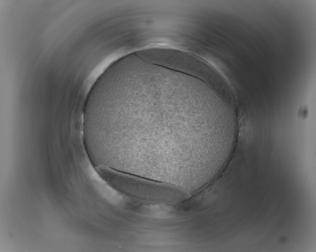 X0000114611476200911171024