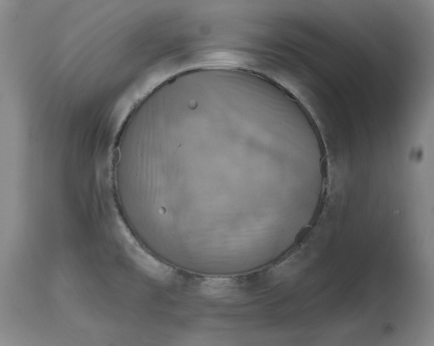 X0000114611477200911171023