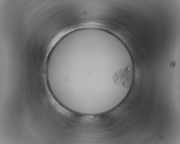 X0000114611478200911171023