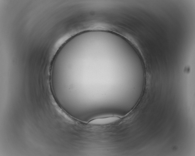 X0000114611480200911171023