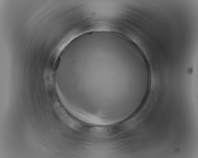 X0000114611481200911171023