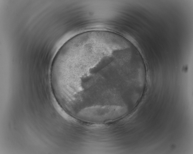 X0000114611482200911171023