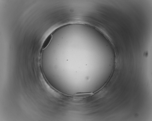 X0000114611484200911171023