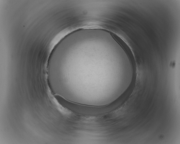 X0000114611485200911171023