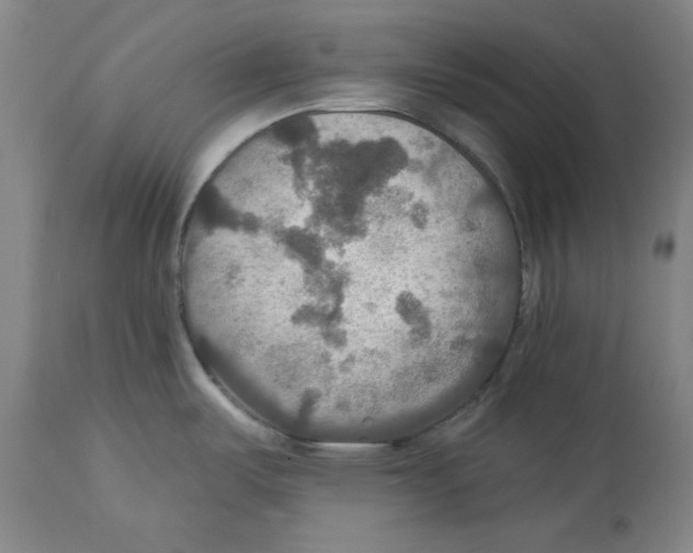 X0000114611487200911171023