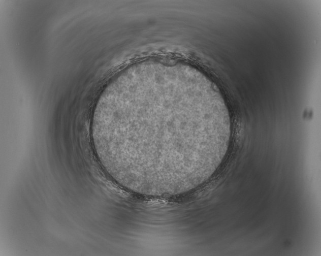 X0000114611489200911171023