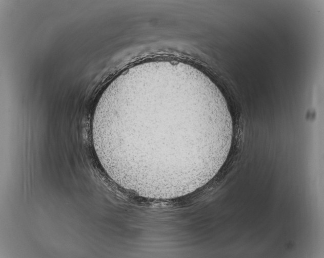 X0000114611490200911171023