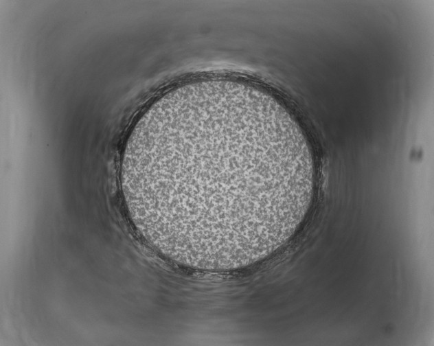 X0000114611493200911171023