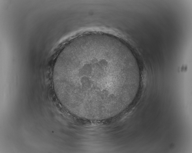 X0000114611494200911171023