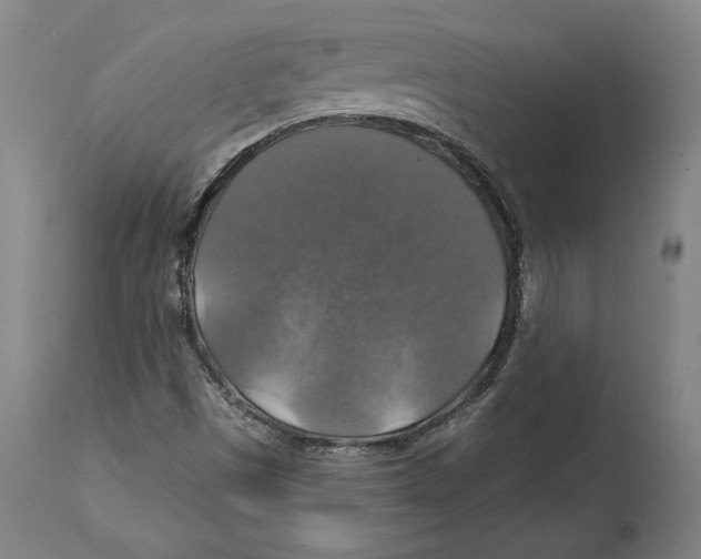 X0000114611497200911171023