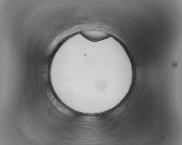 X0000114611499200911171023