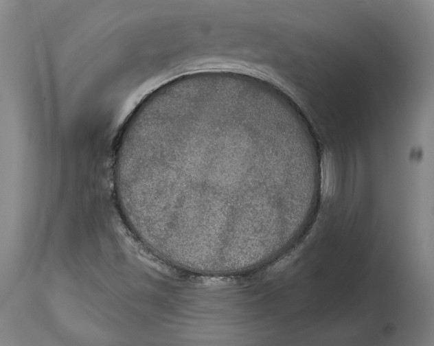 X0000114611501200911171023