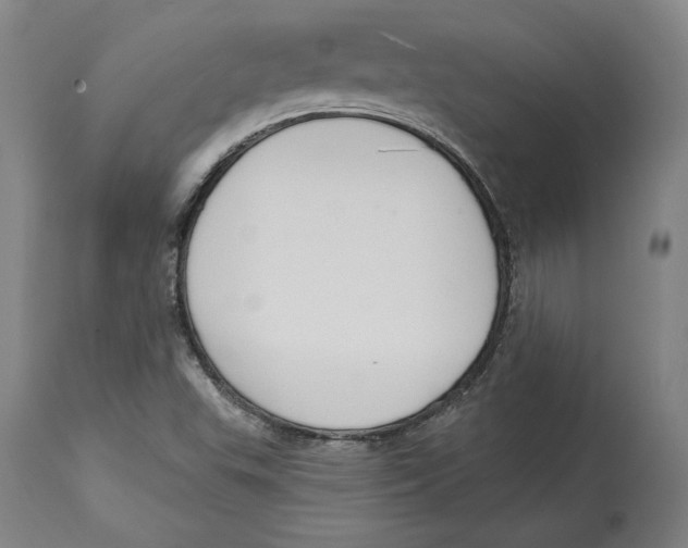 X0000114611503200911171023