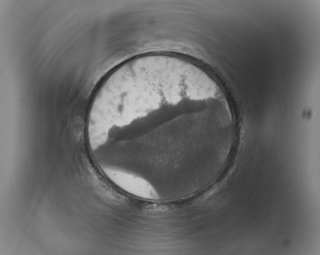 X0000114611505200911171023