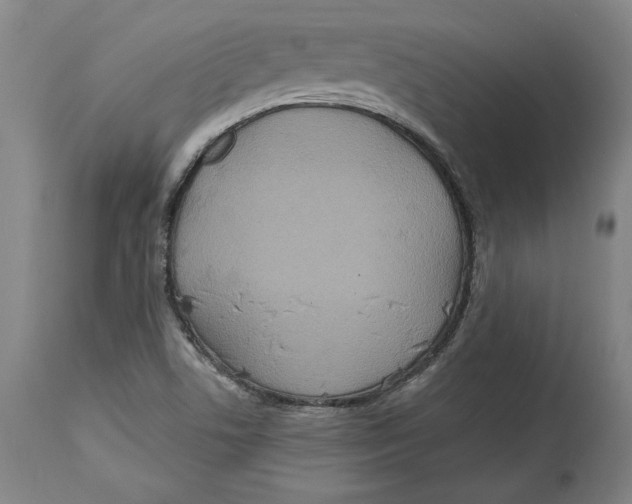 X0000114611506200911171023