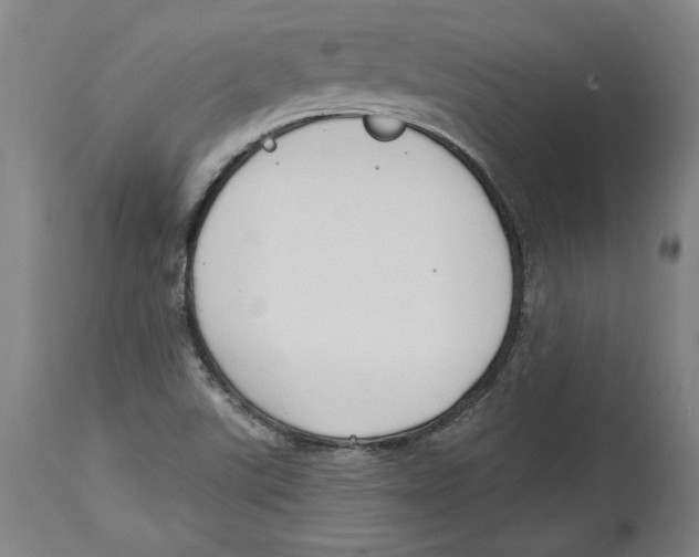 X0000114611507200911171023