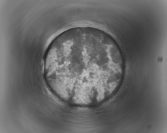 X0000114611509200911171023