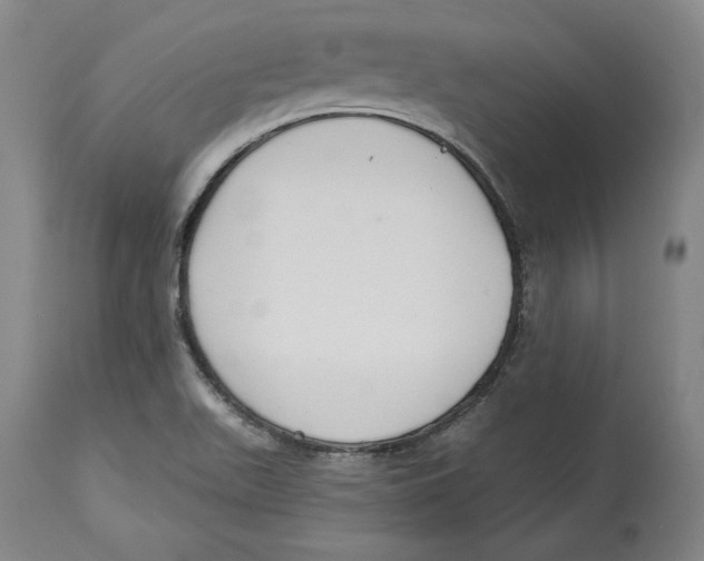 X0000114611511200911171023