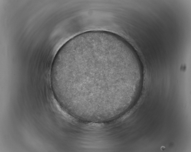 X0000114611513200911171023