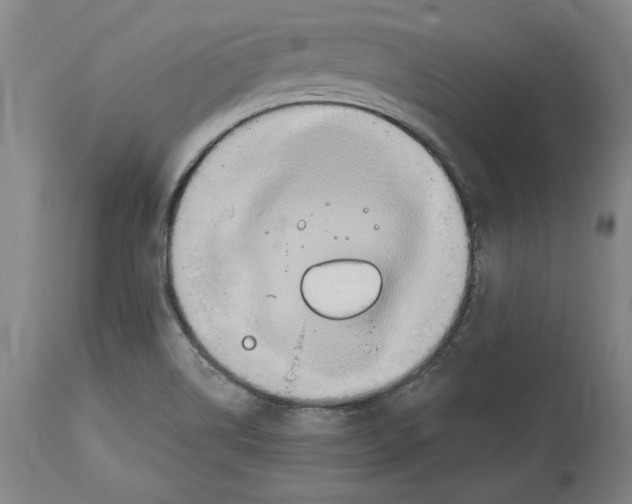 X0000114611514200911171023